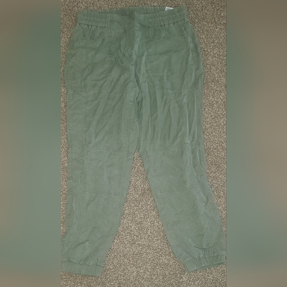 Banana Republic Pants
